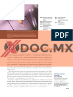 Xdoc - MX 401 Radiacion de Cuerpo Negro e Hipotesis de Planck