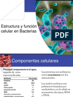 Bacterias 1 2022