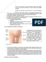 Urología Pediátrica 2 (Testiculo No Descendido e Hipospadias)