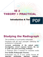 Theory + Practical: Introduction & Terms