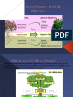 Arbol de Problemas y Arbol de Objetivos