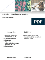 Unidad V Energia y Metabolismo Estudiantes Primera Parte