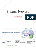 Anatomia Do Sistema Nervoso