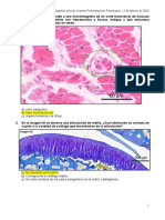 Prototipo Examen Prof Fisioterapia 02 02 2022