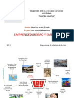 GuerreroJuarezB - Uruapan - Emprendedurismo - 305v - Mapa Mental