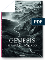 Resumo Genesis Sebastiao Salgado