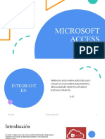 Microsoft Access