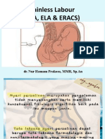 HAM Pain Labour Analgesia