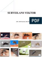 Surveilans Vektor