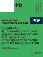 AFD - BELLE - 2022 - Incertitudes (P) Endémiques Dans Les Pays en Développement Les Enjeux D'une Interdépendance Accrue Entre Les Banques Et L'état
