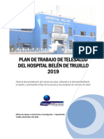 Plan de Trabajo de Telesalud Del Hospital Belen de Trujillo 2019