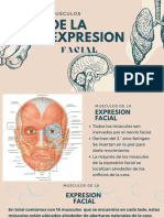 Músculos de La Expresión Facial