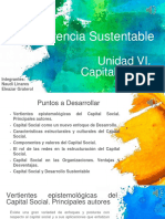 Capital Social Unidad VI Rev A