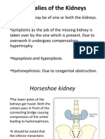 Anomalies of The Kidneys