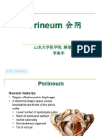 Perineum 会阴: Lizhenhua