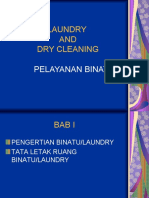 Laundry and Dry Cleaning