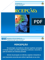 percepo-visual-oficial-1218756200829976-9