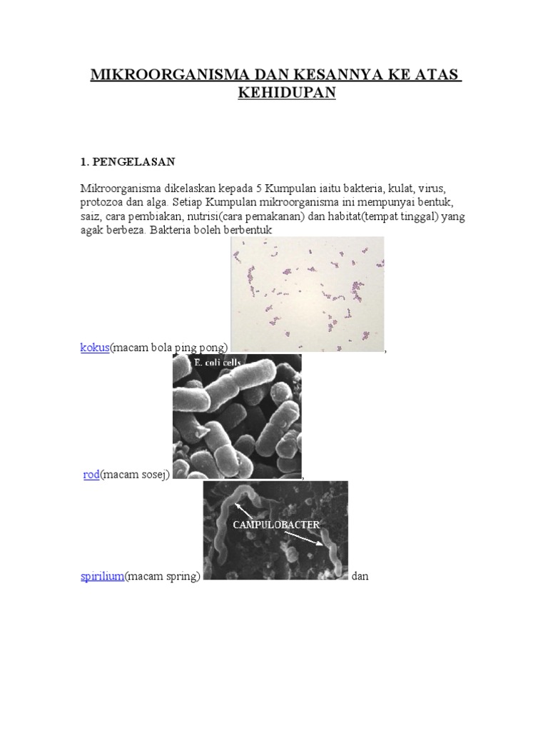 Nota Sains Tingkatan 5