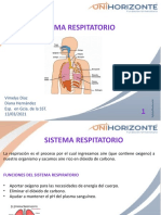 Sistema Respiratorio