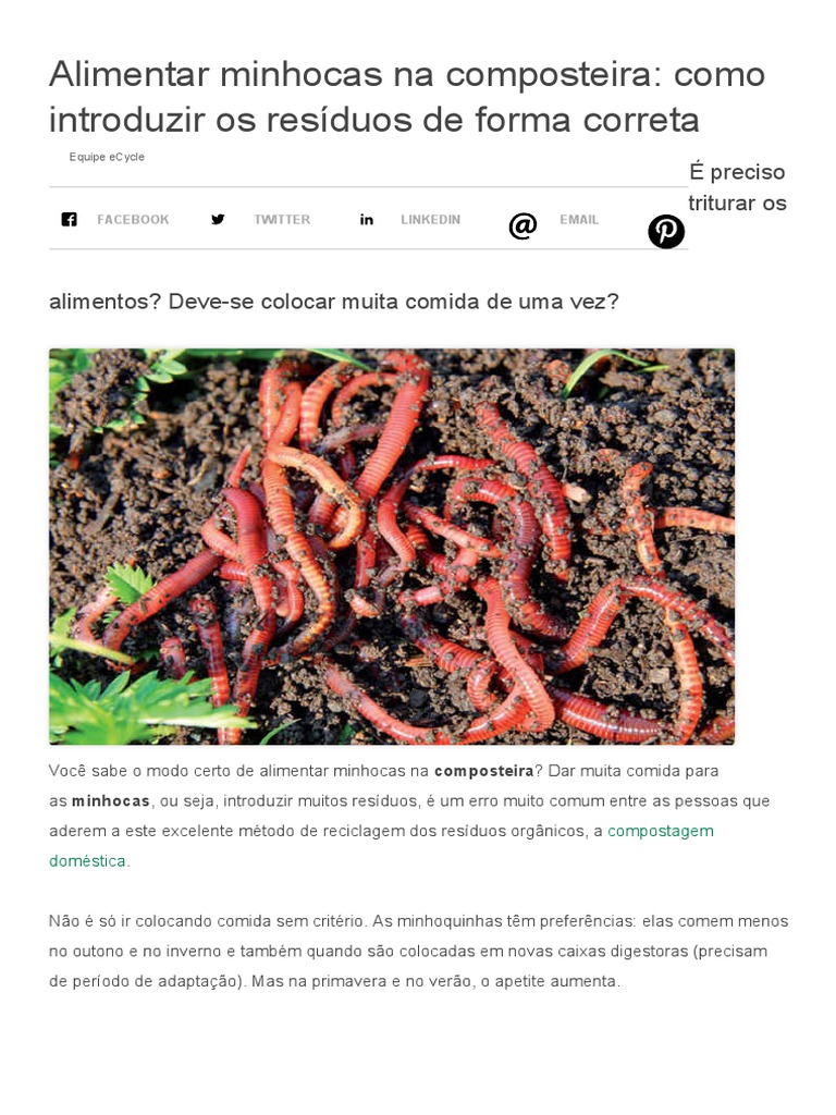 Alimentação Correta de Minhocas na Composteira | PDF | Desperdício ...