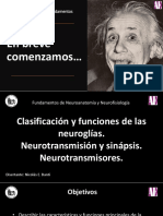 Neuroglia - Neurotransmisores y Sinapsis Nico 2