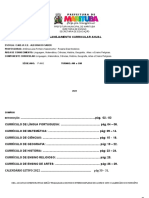 Planejamento Curricular Anual Turma 1º Ano Am e BM 2022