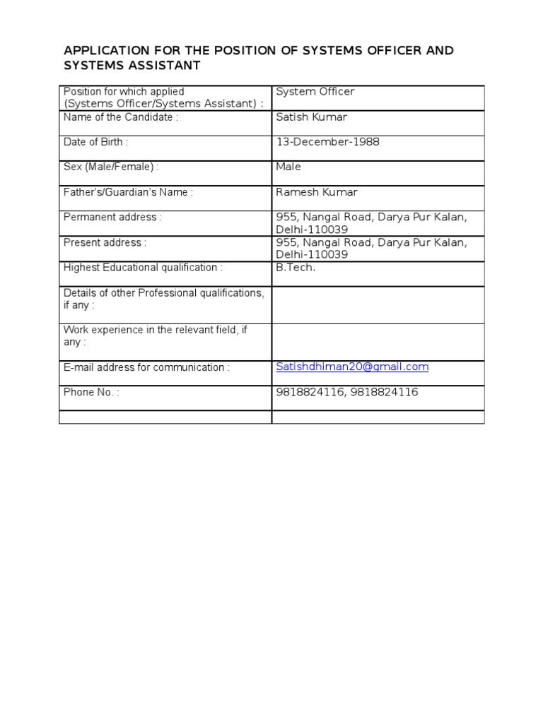 Application for Systems Officer Position | PDF
