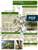 2 Poster Formation Burkina Faso Acacia Nilotica L. Willd. Ex Delile JDM