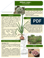 4-Poster-formation-Burkina-Faso-Allium-cepa-L-JdM(1)