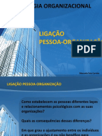 Psicologia Organizacional - Ligações Pessoa-Organização