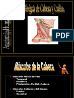 Miologia Cabeza y Cuello. DR Mariano Pauloni