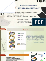 Ácido Nucleicos Oooo
