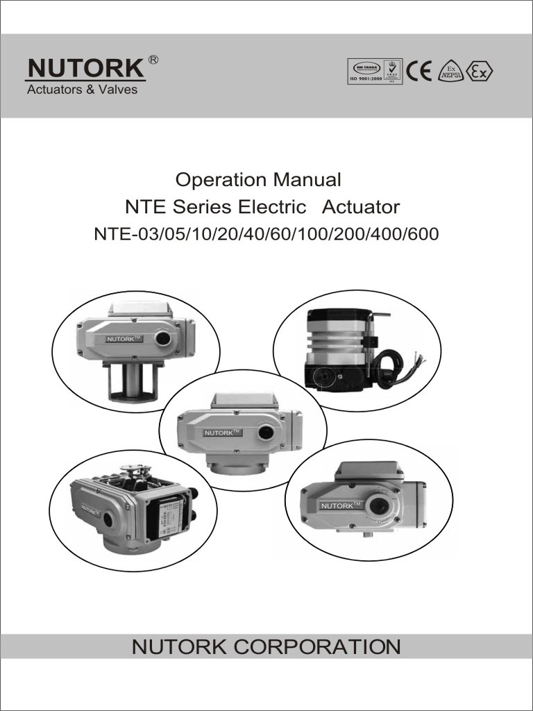 7IOM For NTE Series Electric ActuatorE PDF