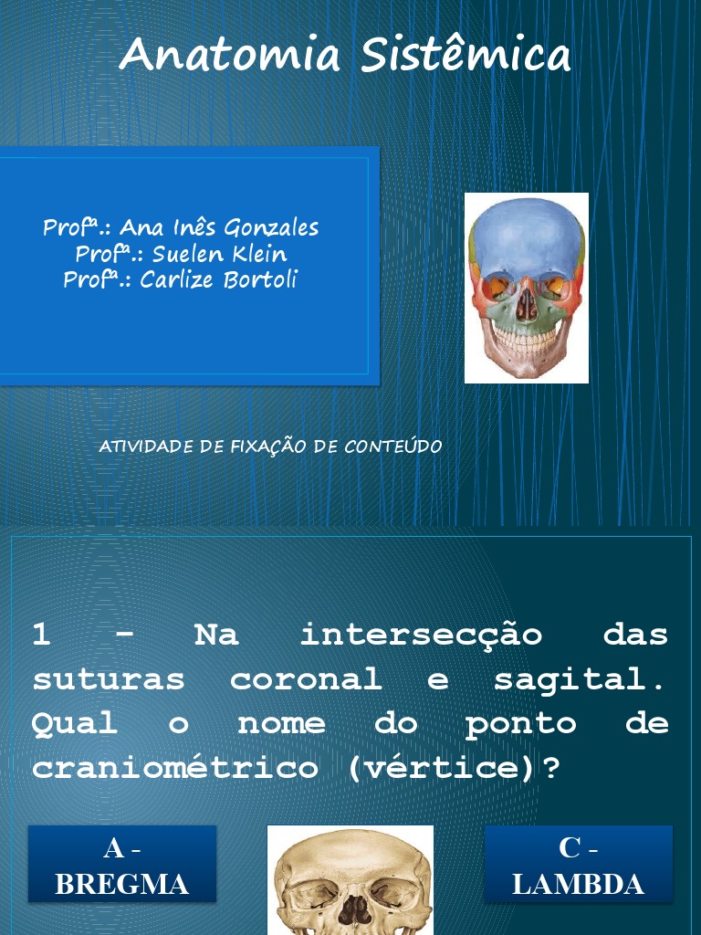 Quiz Anatomia Ossos E Articula Es Pdf