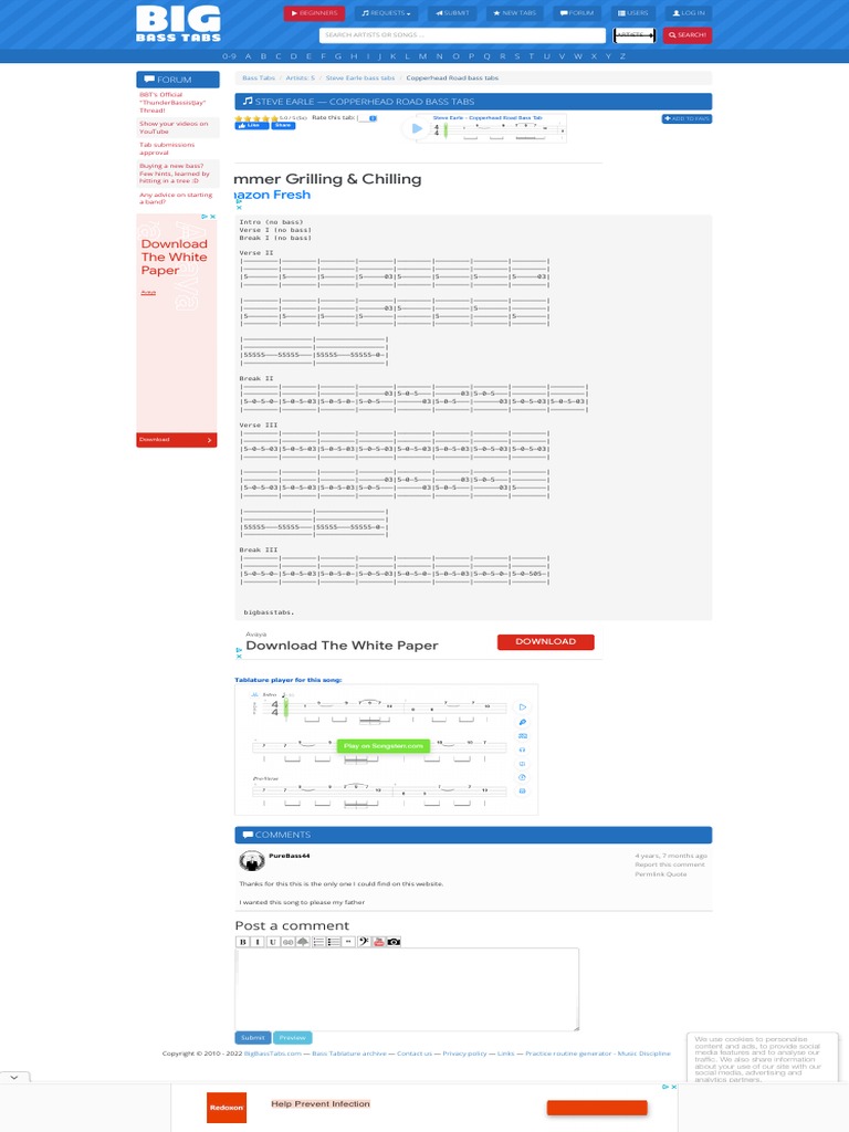 Copperhead Road Bass Tabs Steve Earle at BigBassTabs PDF
