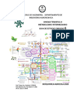 .Metabolismo de Aminoacidos