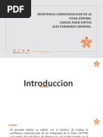 Resultados Del Test de Burpee