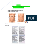 Anatomia