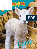 DK - See How They Grow 33 Lamb
