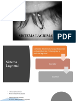 Sistema lagrimal: glándulas, película lagrimal y pruebas de evaluación