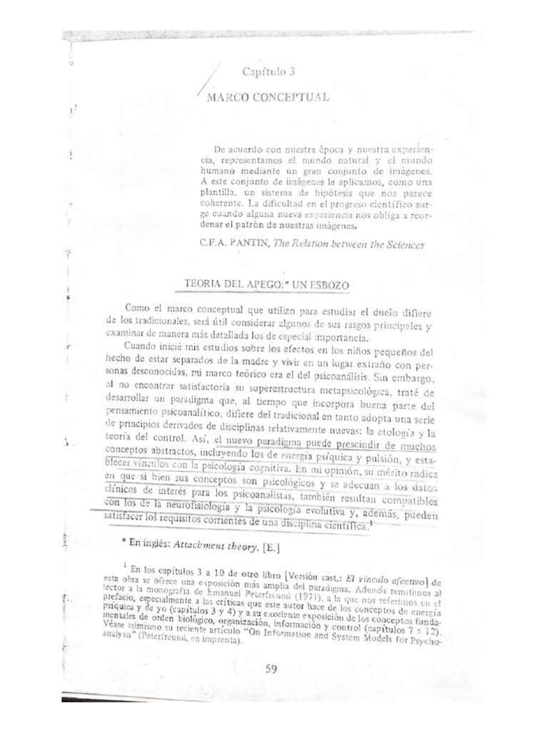 Teoria Del Apego Un Esbozo PDF