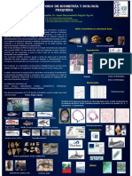 Hazarmabeth _ Laboratorio de Biometria y Biologia pesquera