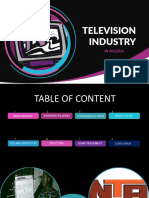 Television Industry: in Nigeria
