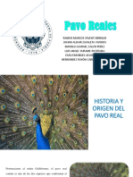 Pavo Reales Exposicion PDF