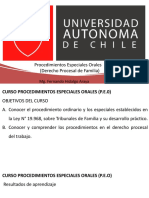 Procedimientos Especiales Orales (P.E.O) Derecho Procesal de Familia