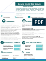 CV - Sergio Bas - Curriculum Vitae