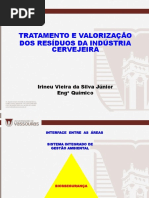 Tratamento e Valorização Dos Resíduos Da Cervejaria