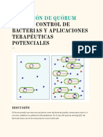 Discusión