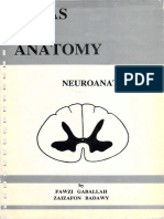 Anatomy Atlas Neuroanatomy Fawzy Gaballah