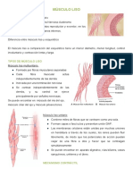 Músculo Liso